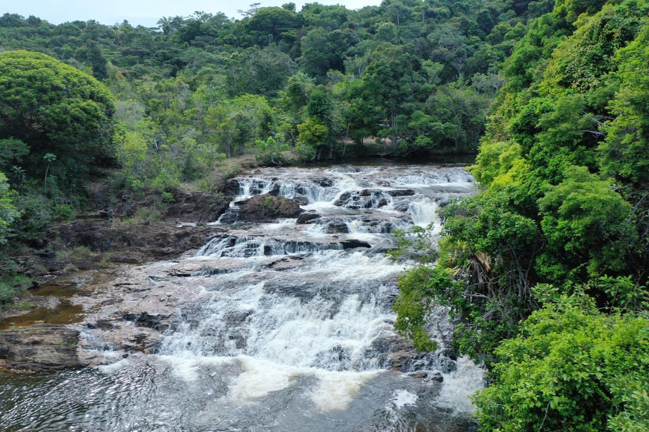 Cachoeira na mata